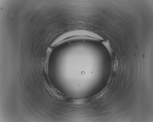 X0000083660088200703051803