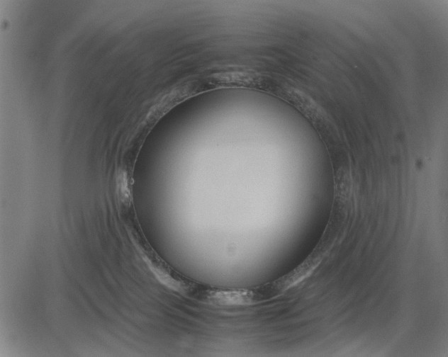 X0000083660089200703051803