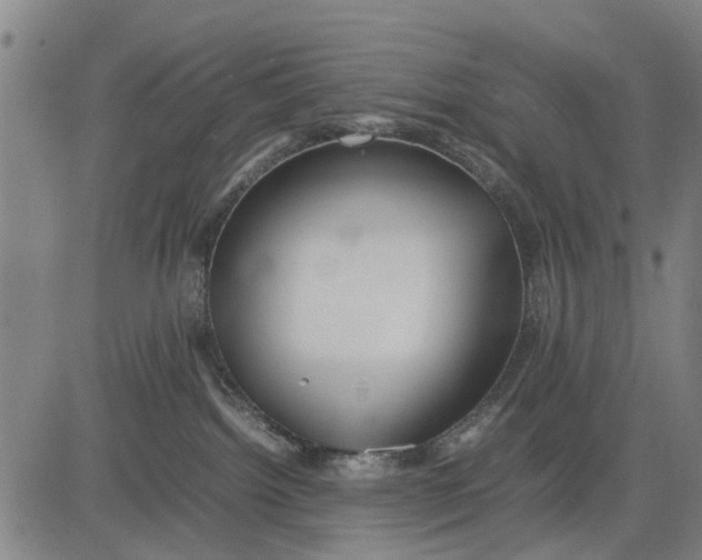 X0000083660092200703051803