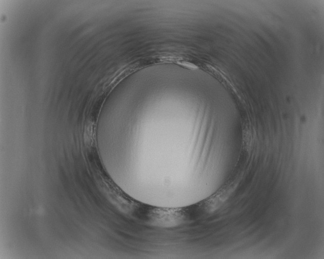 X0000083660093200703051803