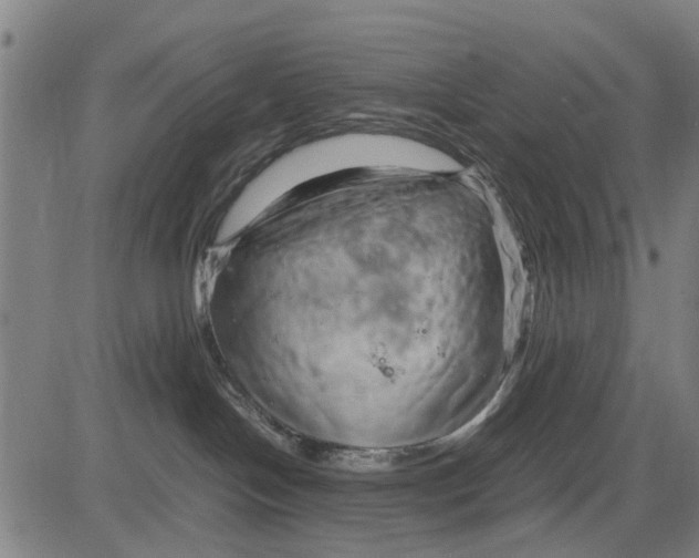 X0000083660094200703051803