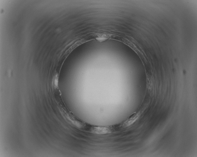 X0000083660095200703051803