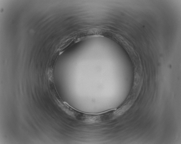 X0000083660096200703051803