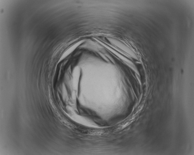 X0000083660097200703051802