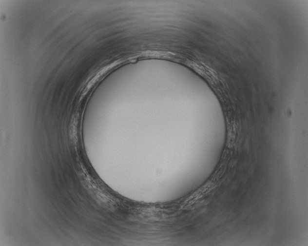 X0000083660098200703051802