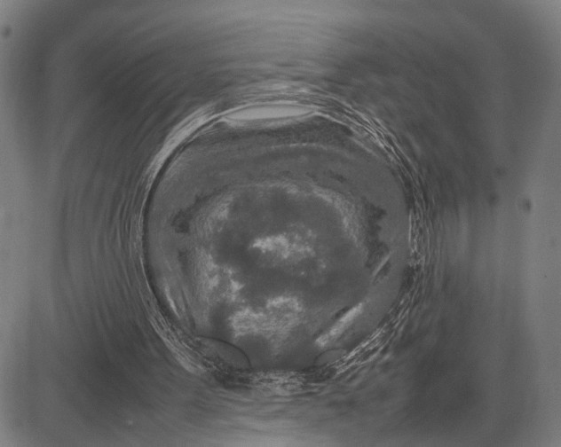 X0000083660099200703051802