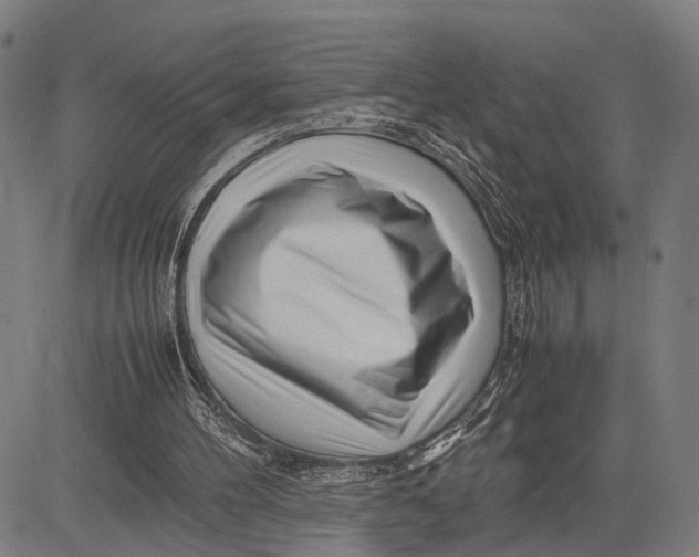 X0000083660100200703051802