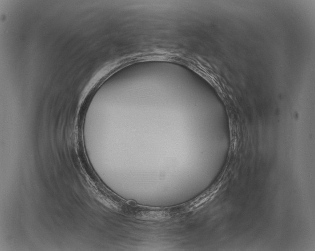 X0000083660102200703051802