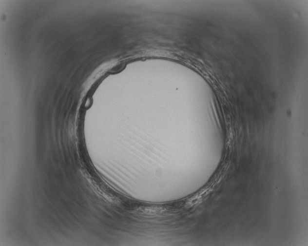 X0000083660104200703051802