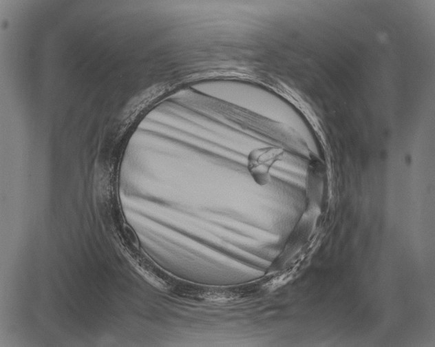 X0000083660105200703051802