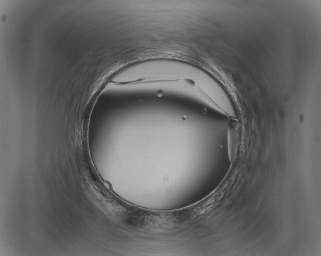 X0000083660107200703051802