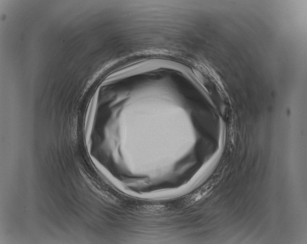 X0000083660108200703051802