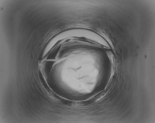 X0000083660109200703051802