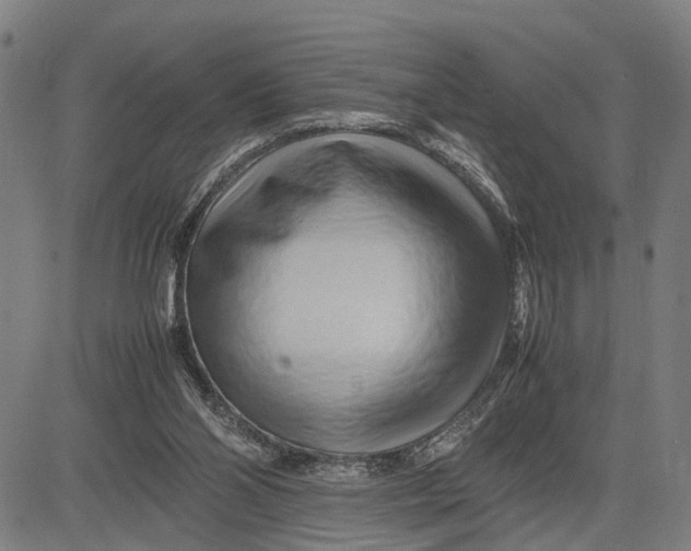 X0000083660110200703051802