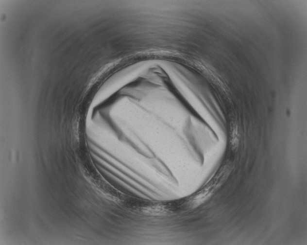 X0000083660112200703051802