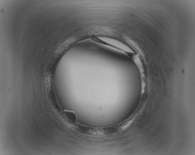 X0000083660113200703051802