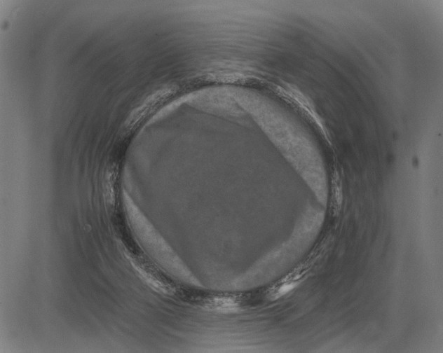 X0000083660114200703051802