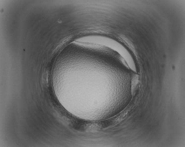 X0000083660115200703051802