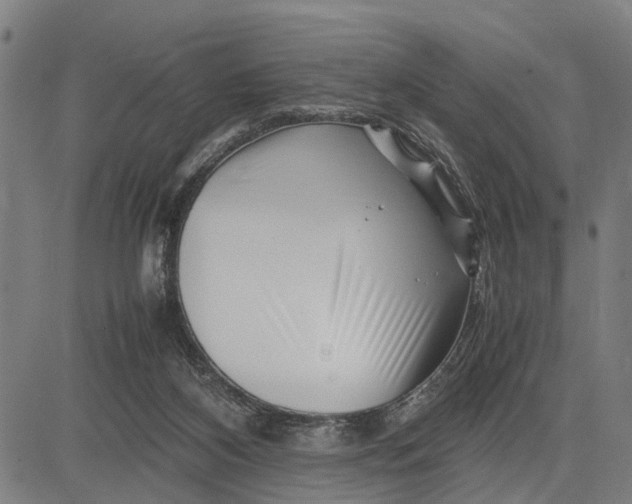 X0000083660116200703051802