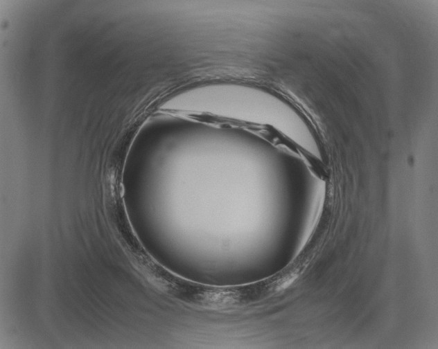 X0000083660117200703051802