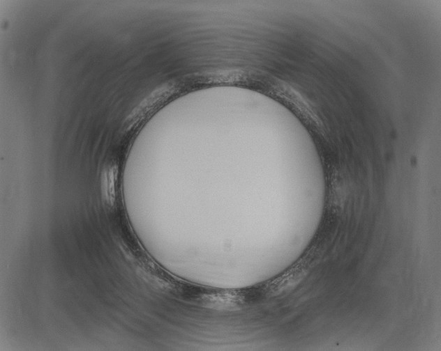 X0000083660118200703051802