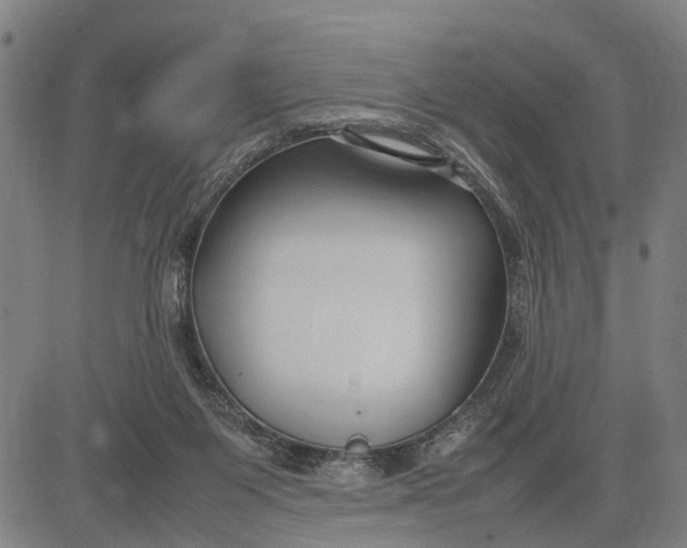 X0000083660119200703051802