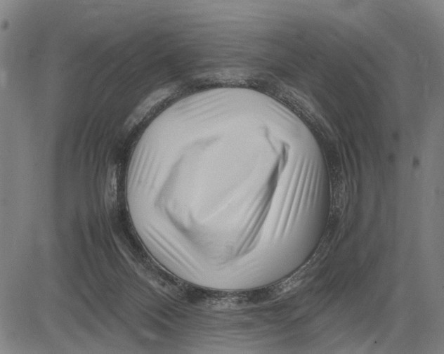 X0000083660120200703051802