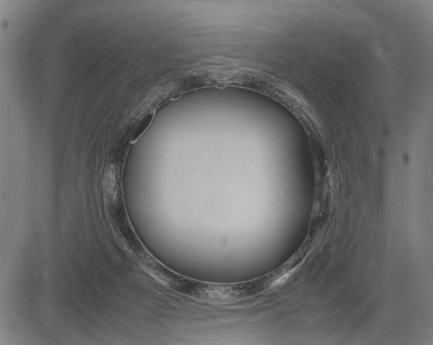 X0000083660121200703051802