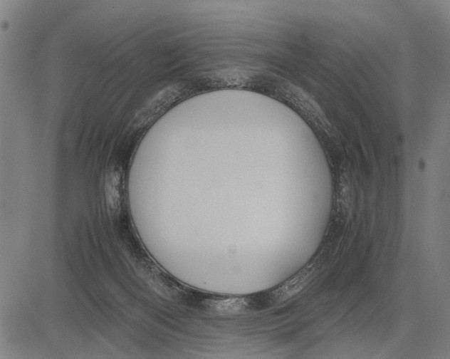 X0000083660122200703051802