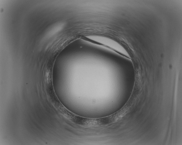 X0000083660123200703051802