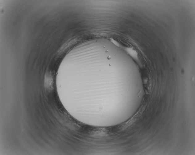 X0000083660124200703051802