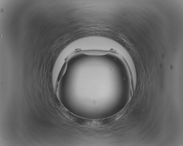 X0000083660125200703051802