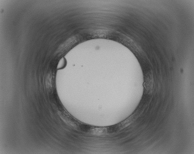 X0000083660126200703051802