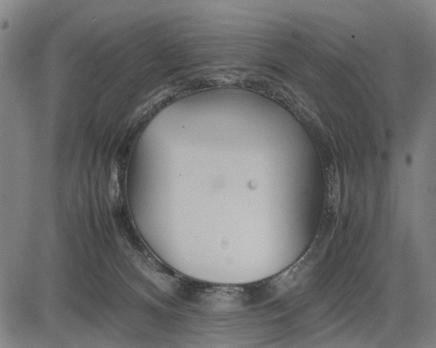 X0000083660128200703051802