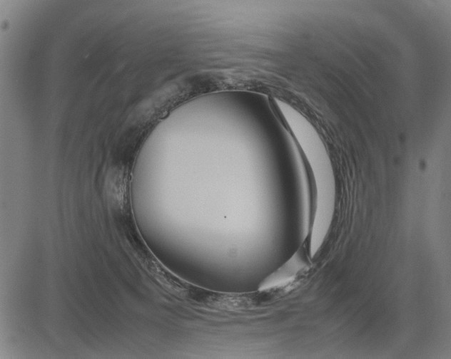 X0000083660129200703051802