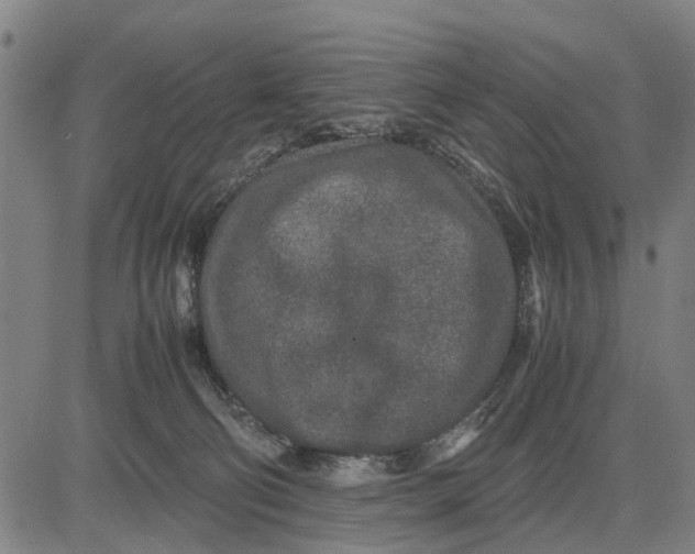 X0000083660130200703051802