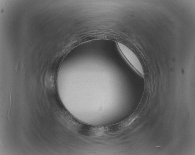 X0000083660131200703051802