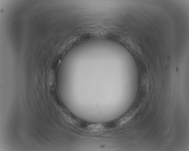 X0000083660133200703051801