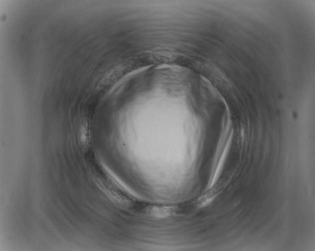 X0000083660134200703051801