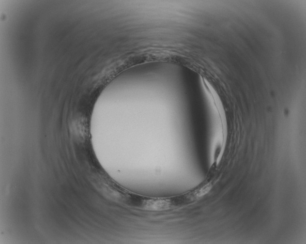 X0000083660135200703051801