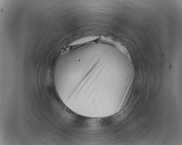 X0000083660136200703051801