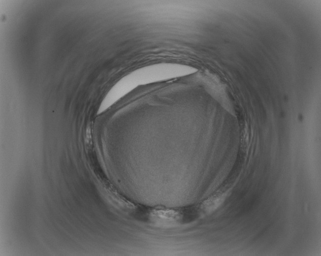 X0000083660137200703051801