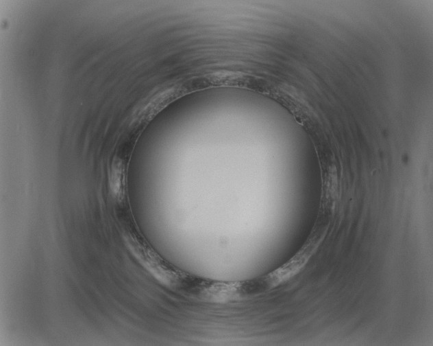 X0000083660138200703051801