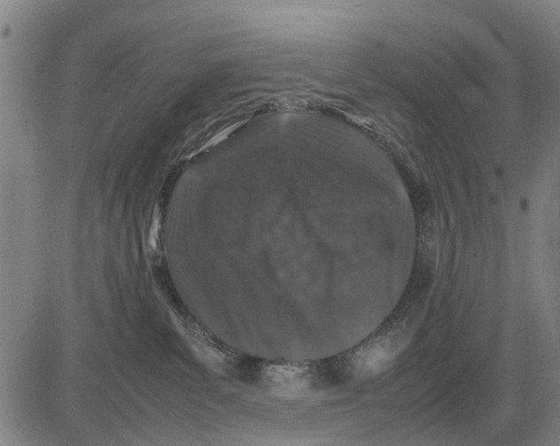 X0000083660139200703051801