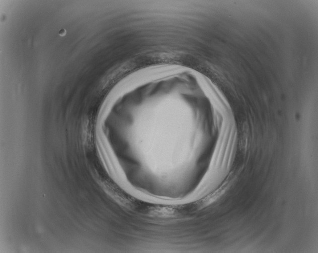 X0000083660140200703051801