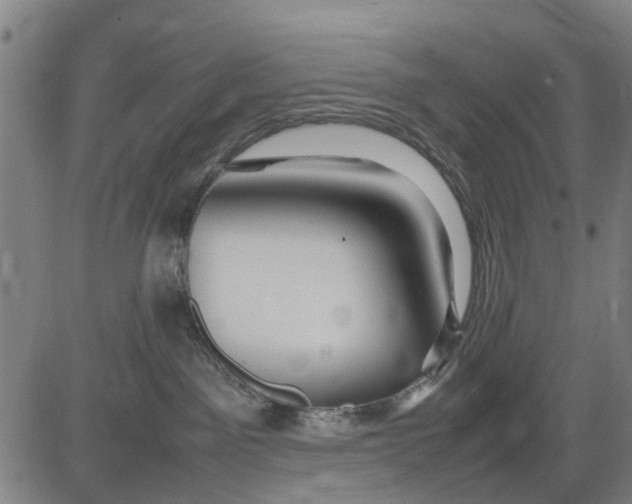 X0000083660141200703051801