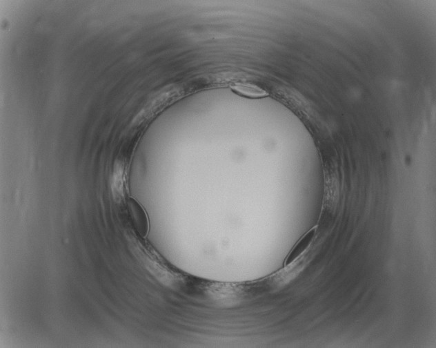 X0000083660142200703051801