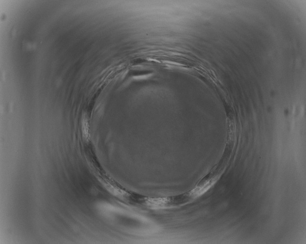 X0000083660143200703051801