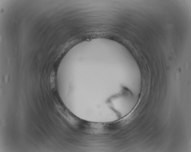 X0000083660144200703051801