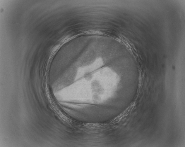 X0000083660145200703051800